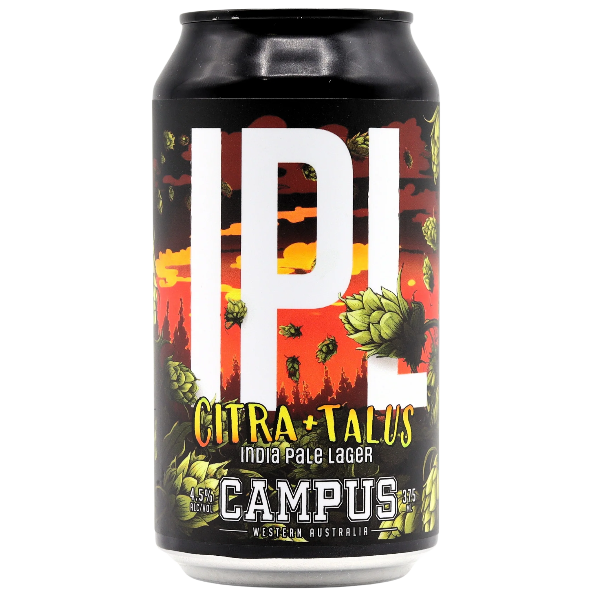 Campus - Ipl
