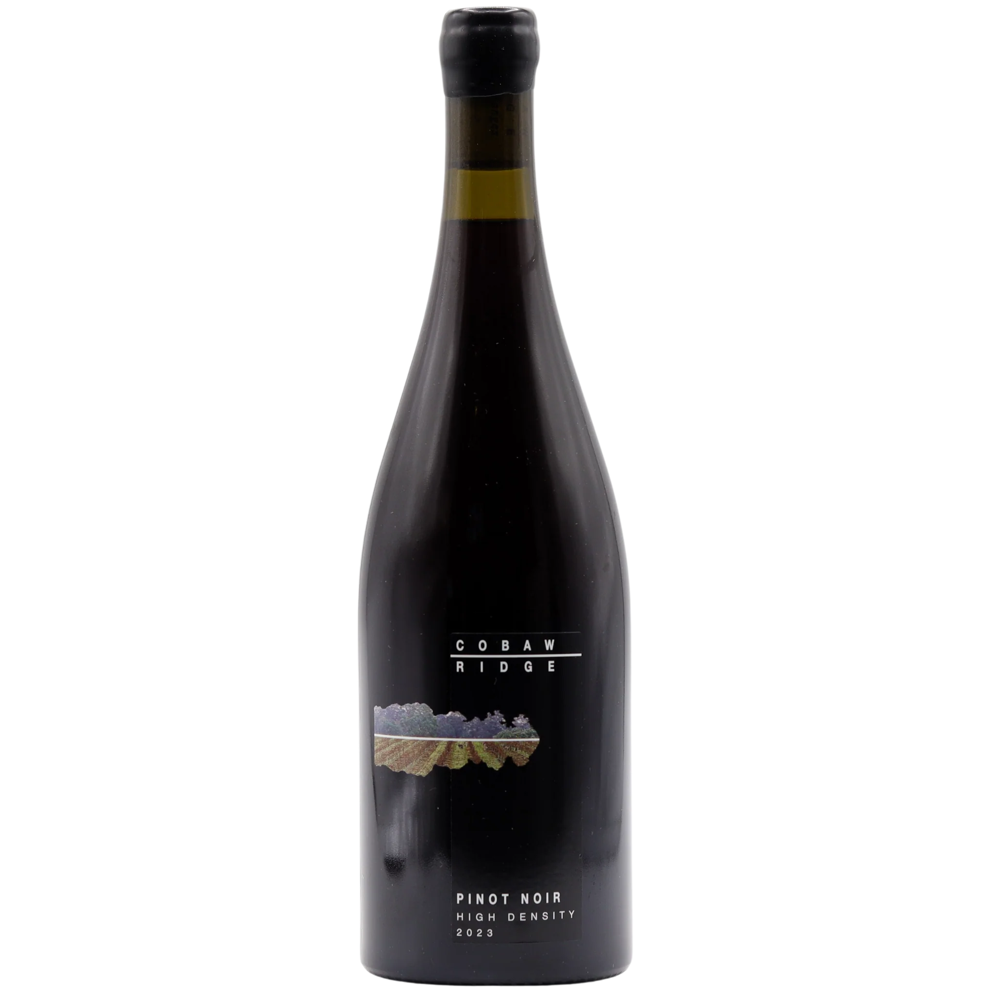 Cobaw Ridge - High Density Pinot Noir