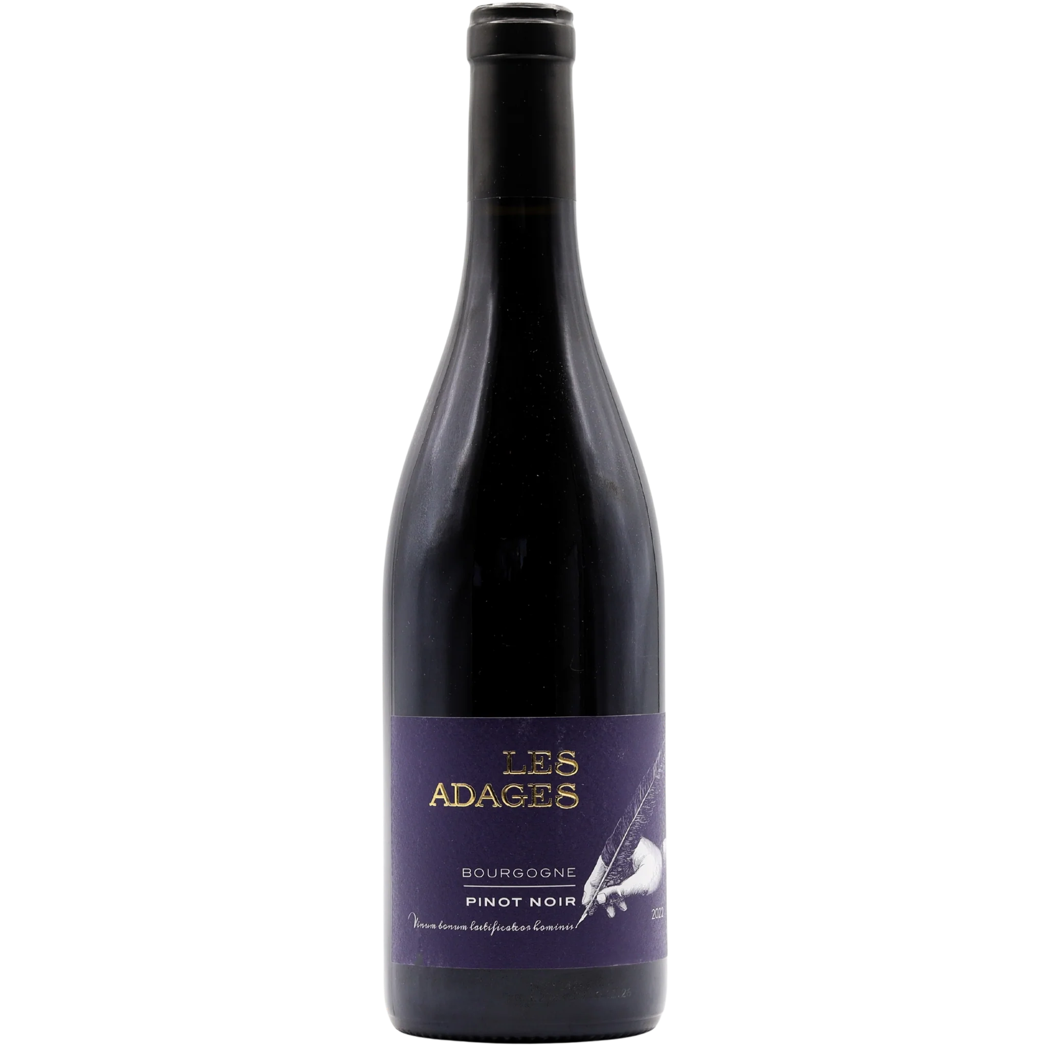 Jean-Baptiste Jessiaume - Les Adages Pinot Noir