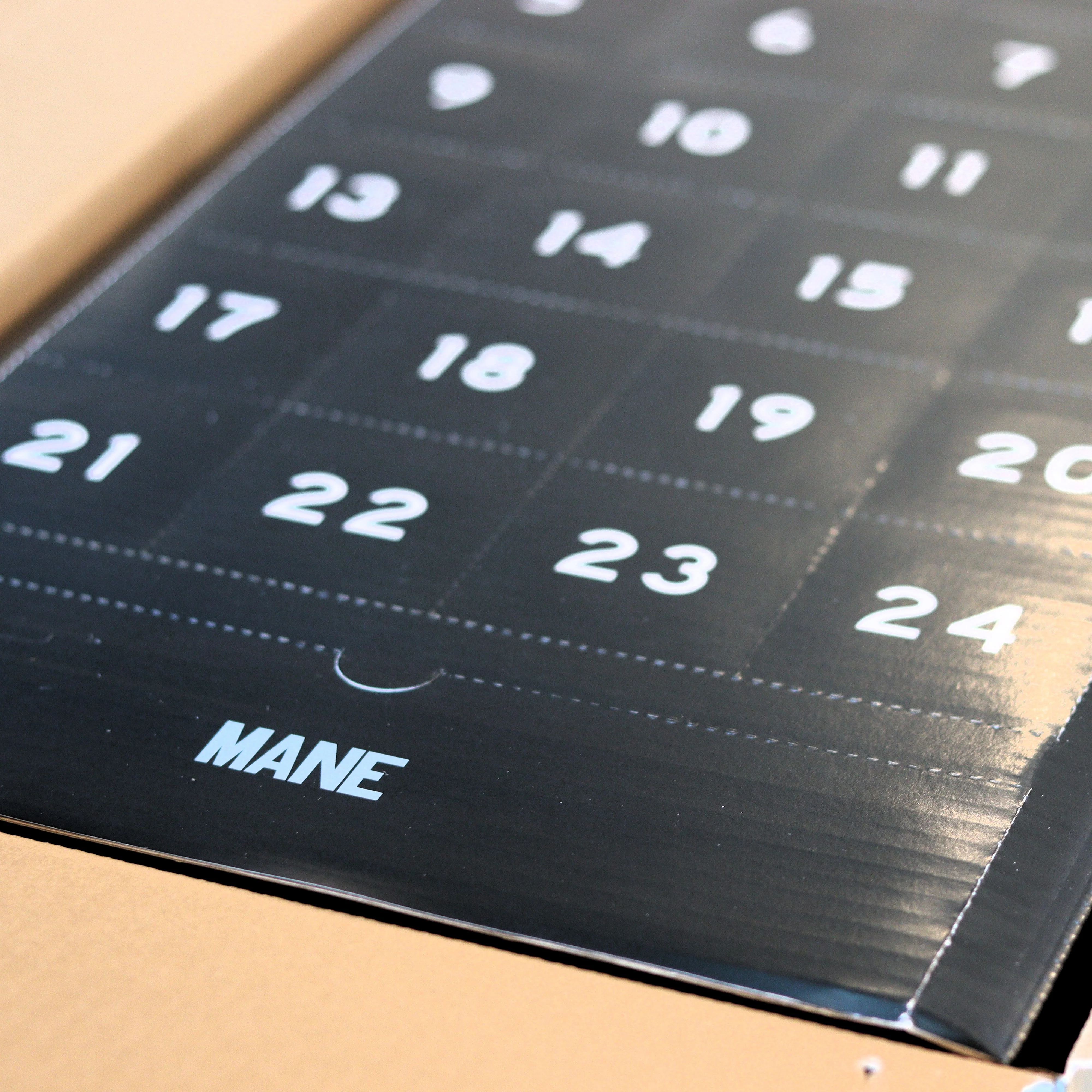 Mane Advent Calendar - Pre Order - Image 2