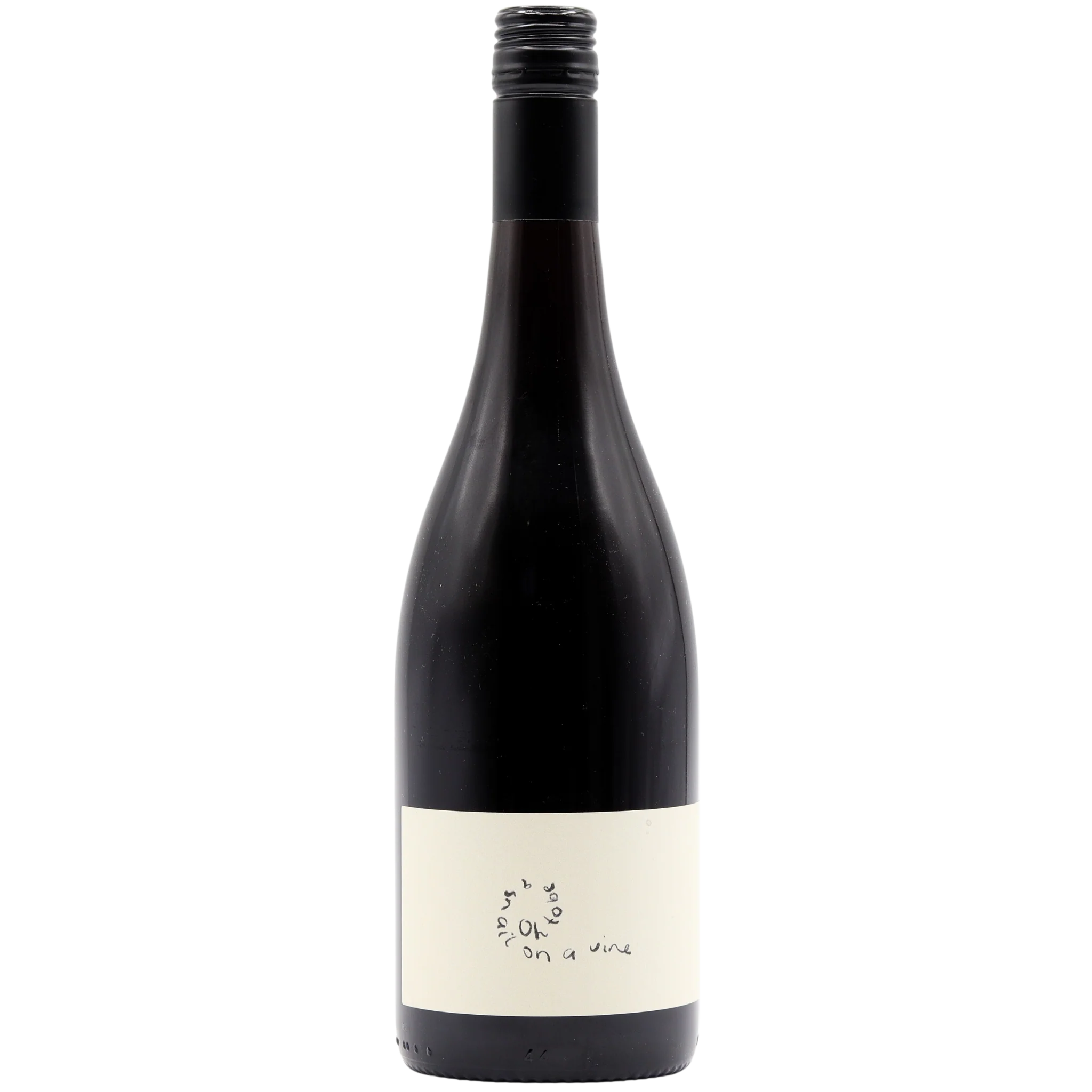 Oh To Be A Snail On A Vine - Pinot Noir