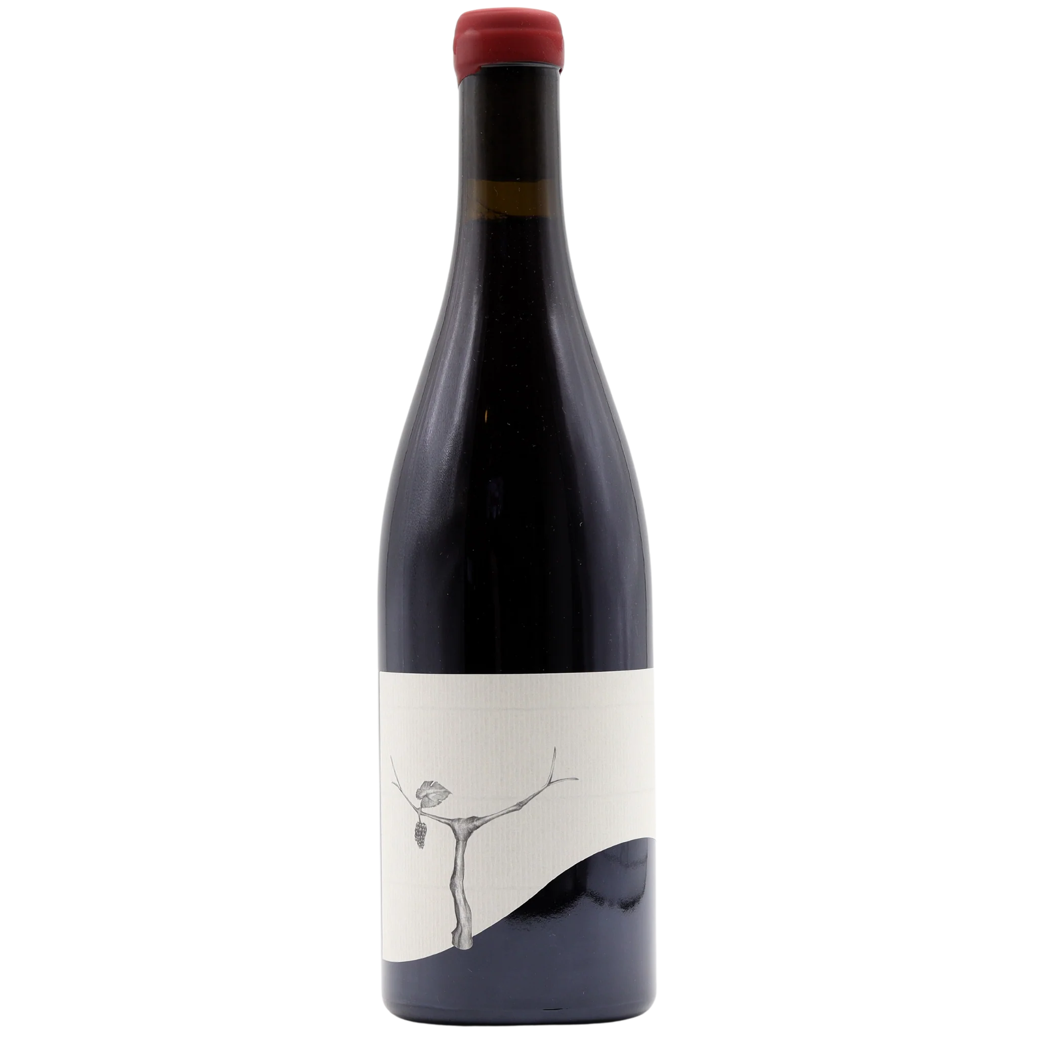 Taturry - Banjo Pinot Noir